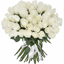 Букет из 51 белой розы Эквадор