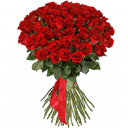 Букет из 51 красная роза Эквадор