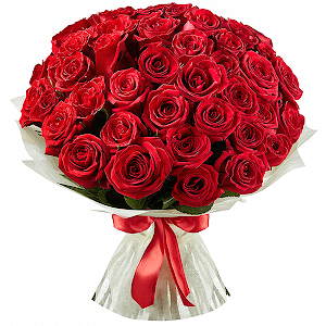 Букет из 51 красной розы Эквадор