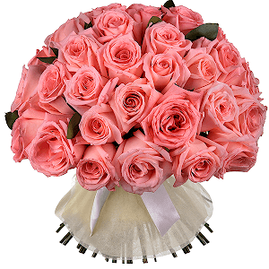 Букет из 51 розовой Эквадорской розы