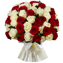 Букет из 51 красной и белой Эквадорской розы