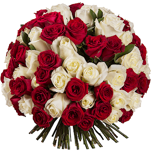 Букет из 101 красной и белой розы