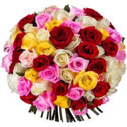 Букет из 101 разноцветной Эквадорской розы