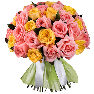Букет из 51 розовой и желтой Эквадорской розы