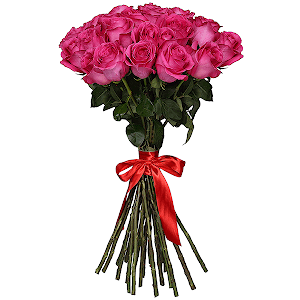 Букет из 25 розовых роз Эквадор премиум
