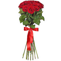 Букет из 15 красных роз Эквадор премиум