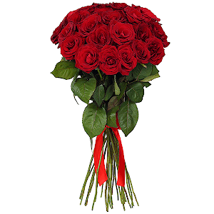 Букет из 25 красных роз Эквадор премиум